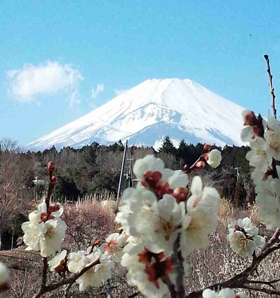 静岡県の観光名所☆