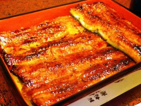 静岡県の観光名所☆