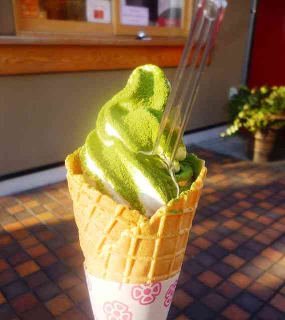 静岡県の観光名所☆