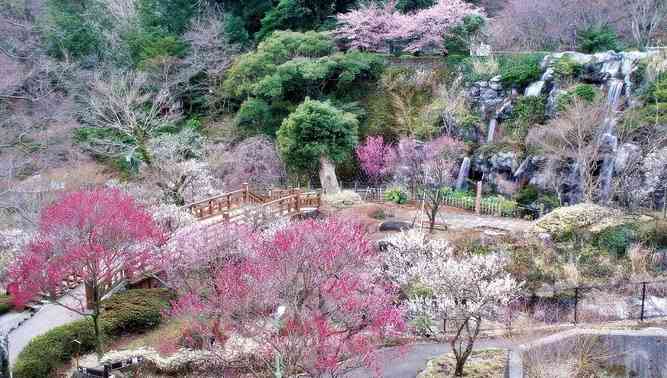静岡県の観光名所☆