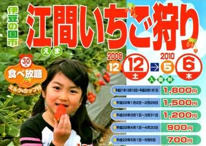 静岡県の観光名所☆