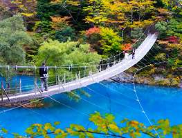 静岡県の観光名所☆