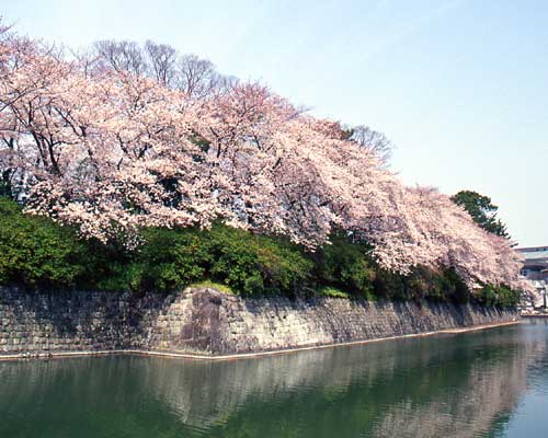 静岡県の観光名所☆
