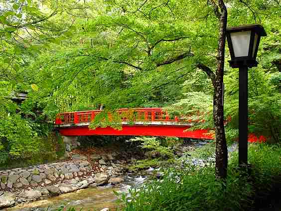 静岡県の観光名所☆