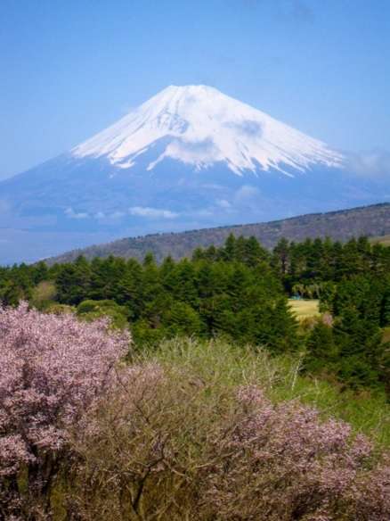 静岡県の観光名所☆
