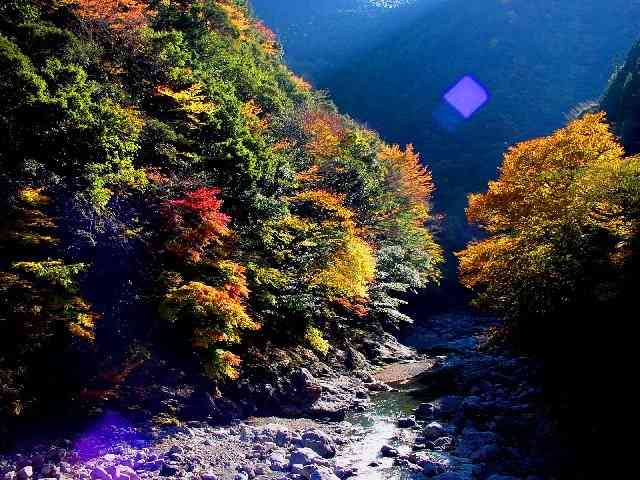 静岡県の観光名所☆