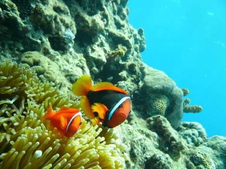 沖縄のオススメ