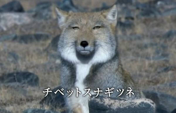 最近、全然使っていないものに＋