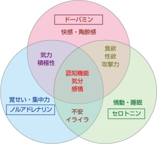 ギャンブル依存を語ろう