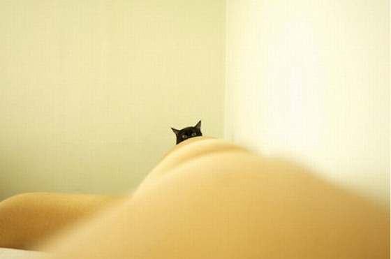 チラ見している画像を貼るトピ