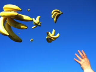 自分を食べ物に例えると何ですか？