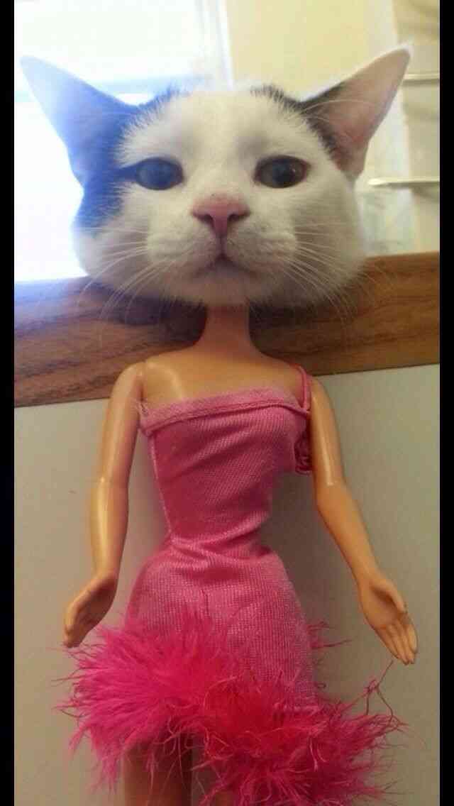 みなさんのペットを見せてください！