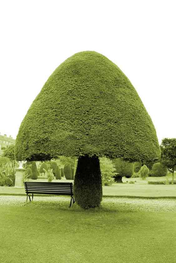 ひたすら大きいものの画像を貼っていくトピ