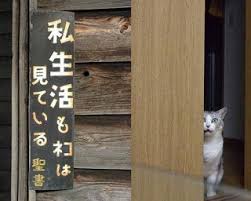 【画像】動物が隠れている画像を下さい