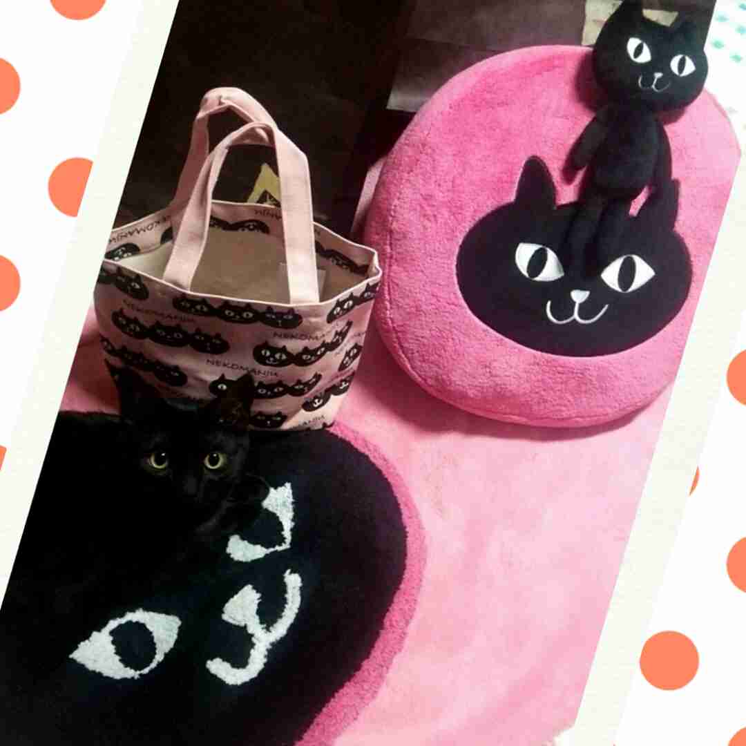 【画像】動物が隠れている画像を下さい