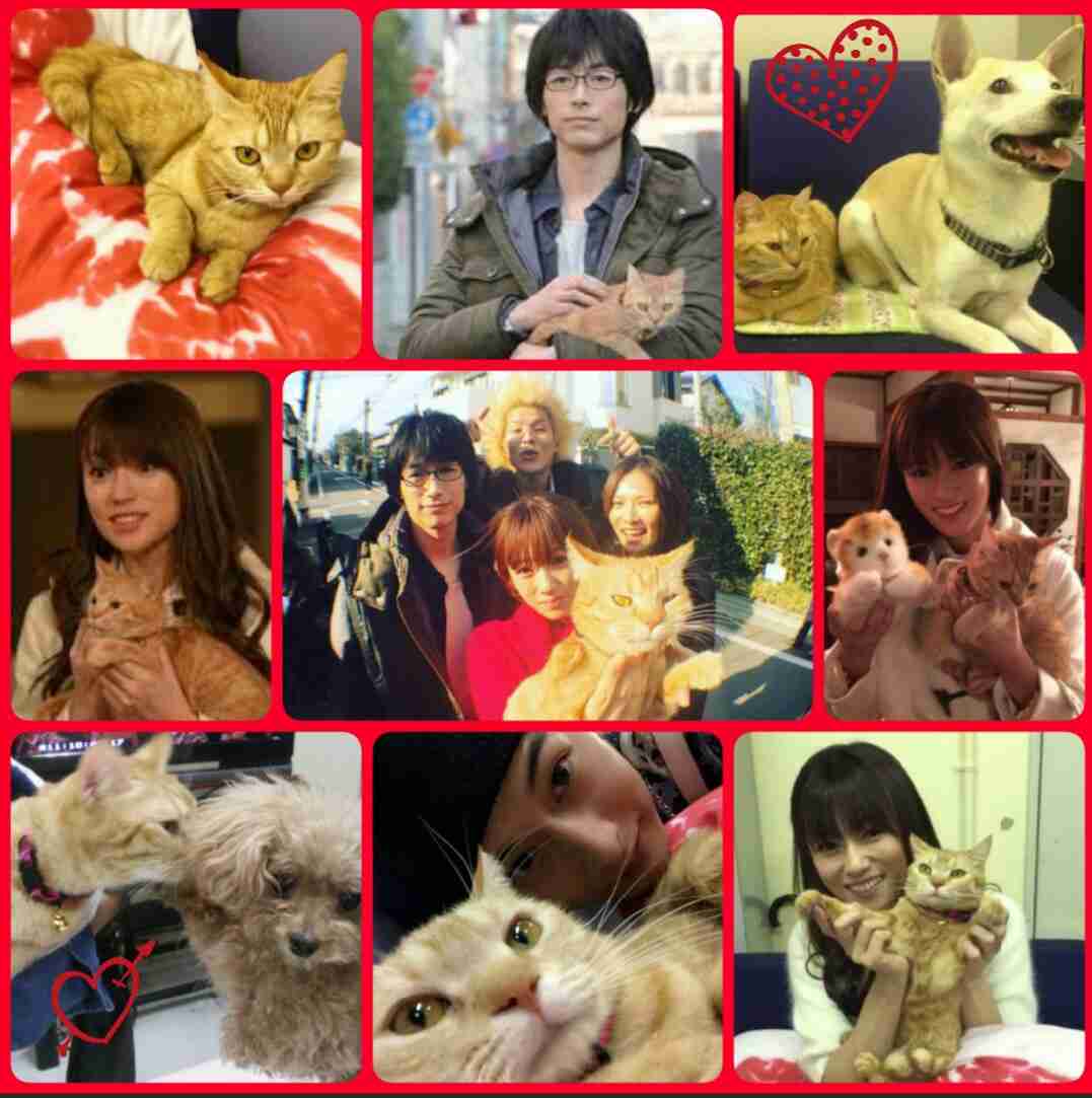 【実況・感想】『ダメな私に恋してください』最終回