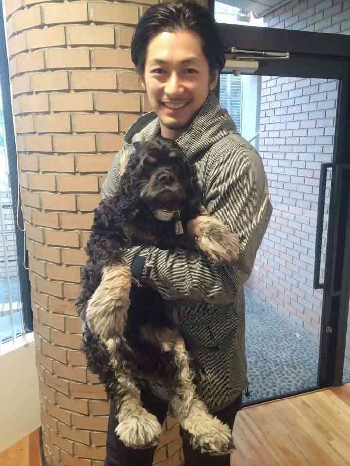 【実況・感想】『ダメな私に恋してください』最終回