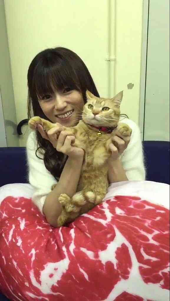 【実況・感想】『ダメな私に恋してください』最終回