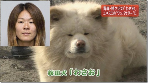 なんとな~く似てる有名人同士やもの!