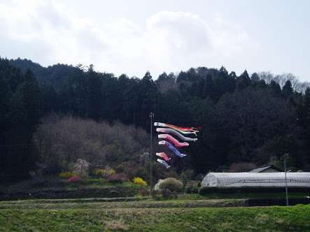 栃木県のオススメスポット