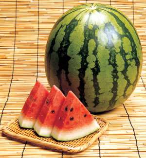 和食を貼ろう