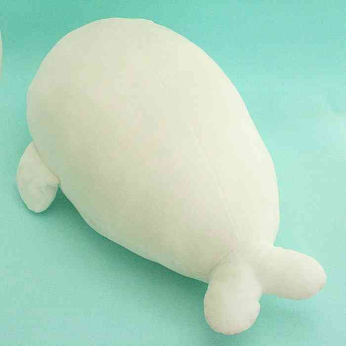 ついに買ったぞー！と言う物