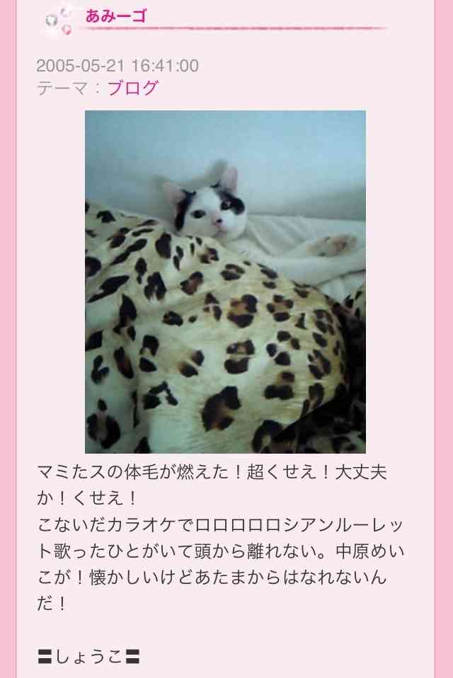 中川翔子、愛猫が死に「涙がとまらないよ」 あいたいよミルクバン先生