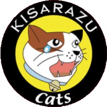 今まで観た中で一番好きなドラマはなんですか？