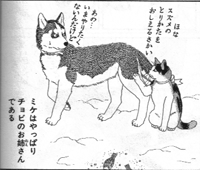 犬と猫って仲良し？それとも？な画像を貼るトピ