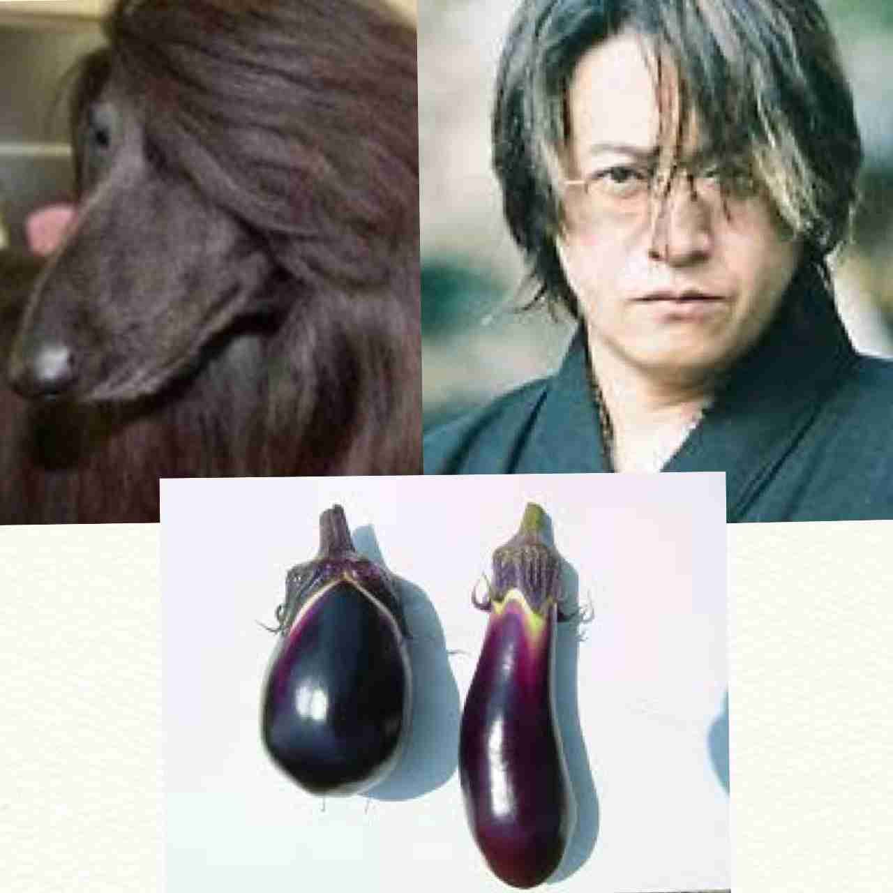 そっくりさんでGLAYを完成させよう