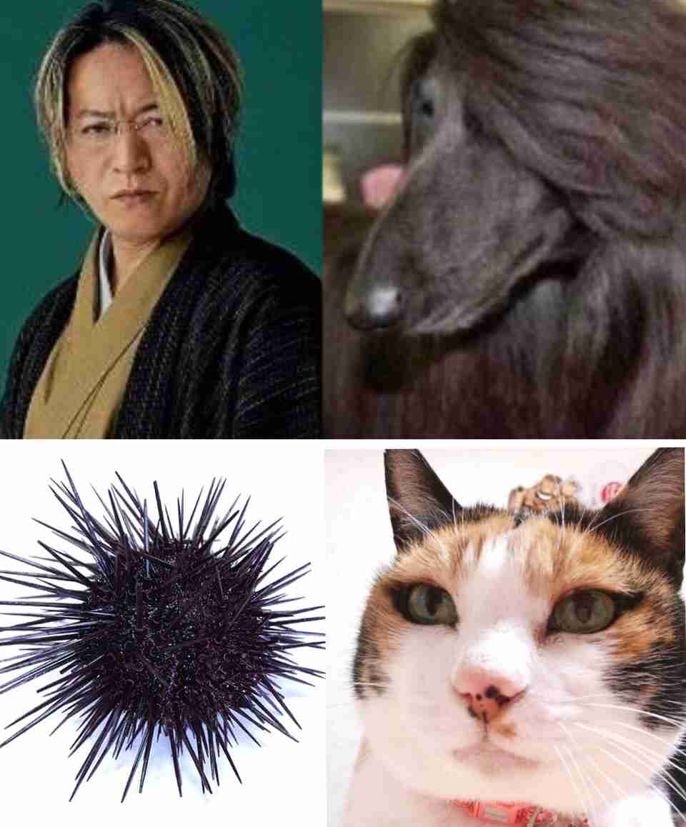 そっくりさんでGLAYを完成させよう