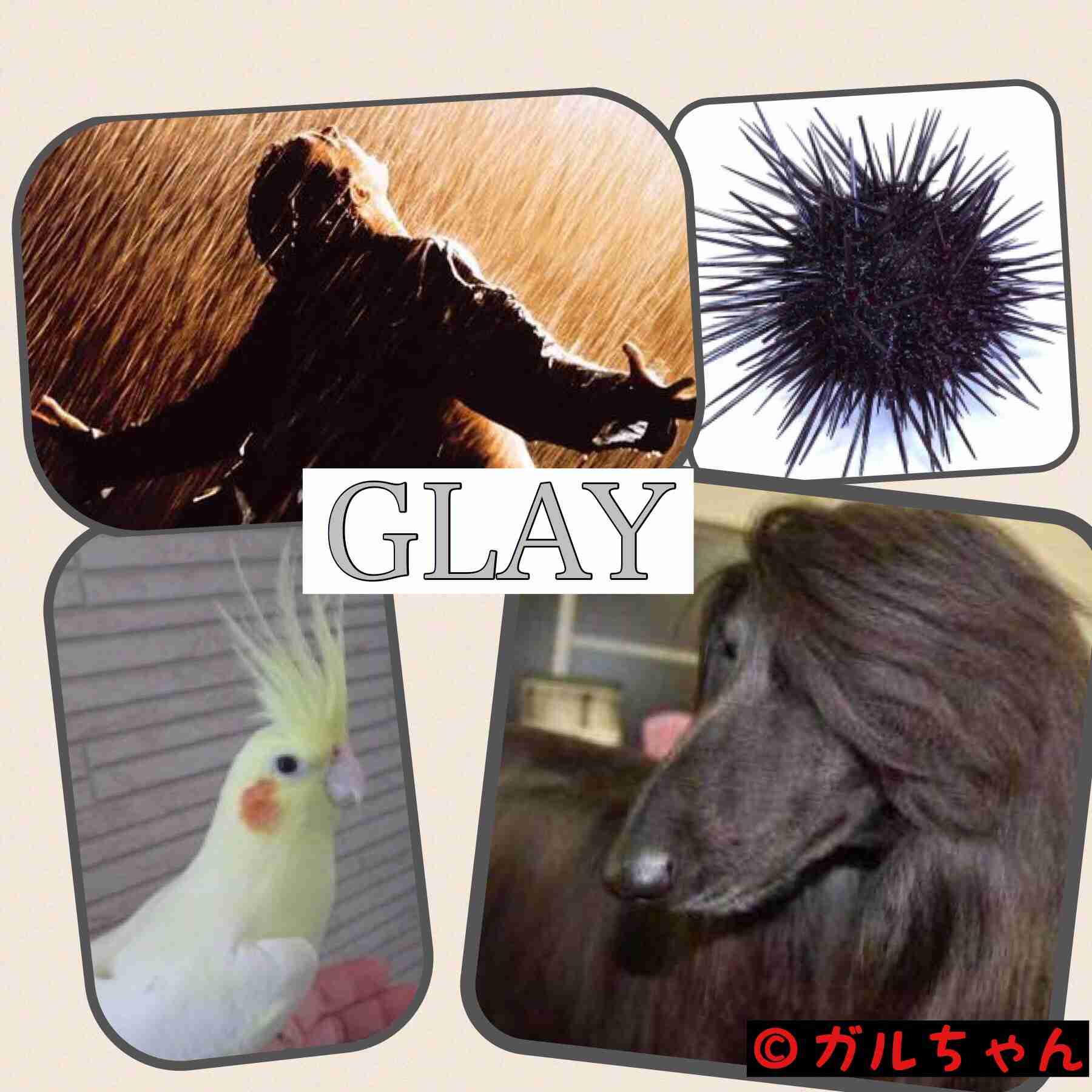 そっくりさんでGLAYを完成させよう