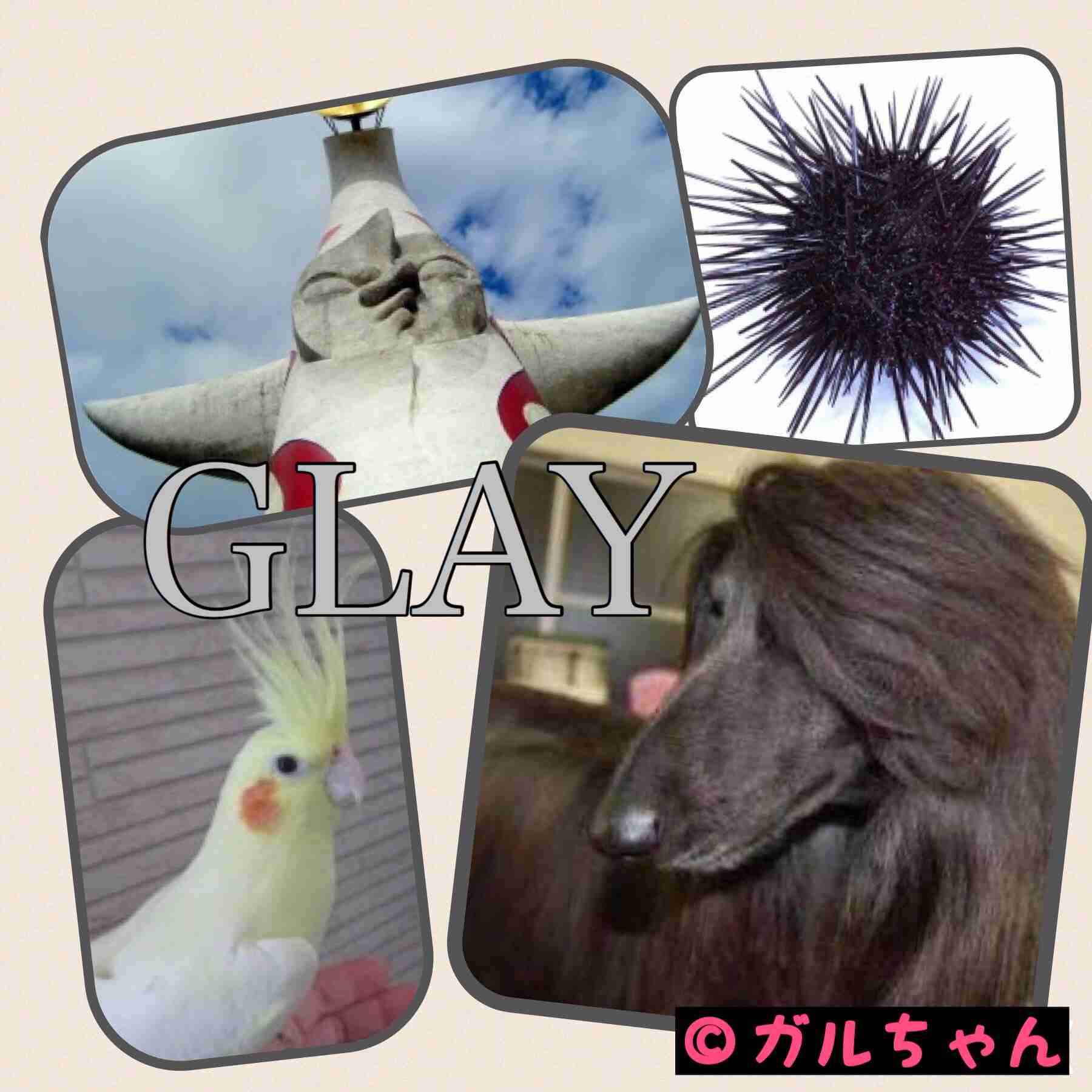 そっくりさんでGLAYを完成させよう