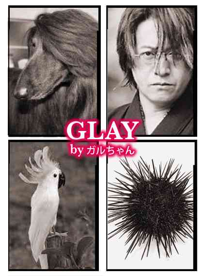 そっくりさんでGLAYを完成させよう