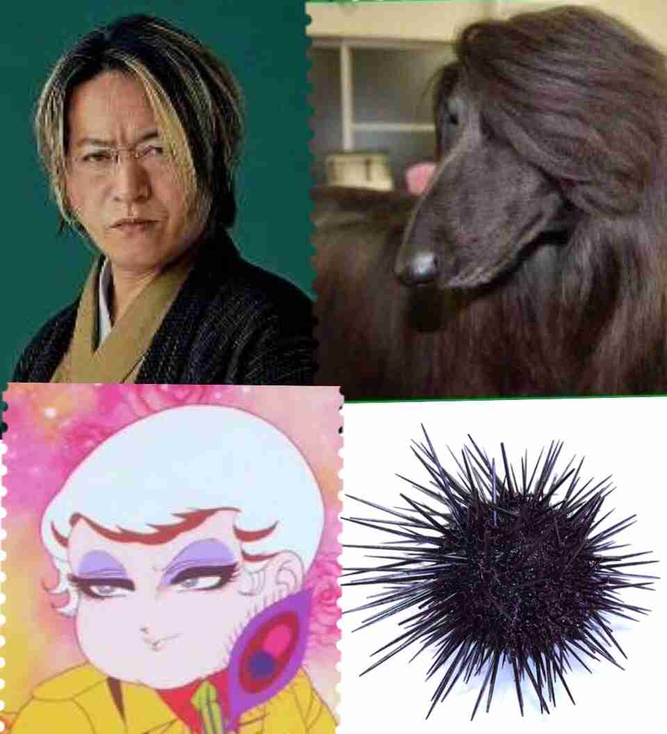 そっくりさんでGLAYを完成させよう