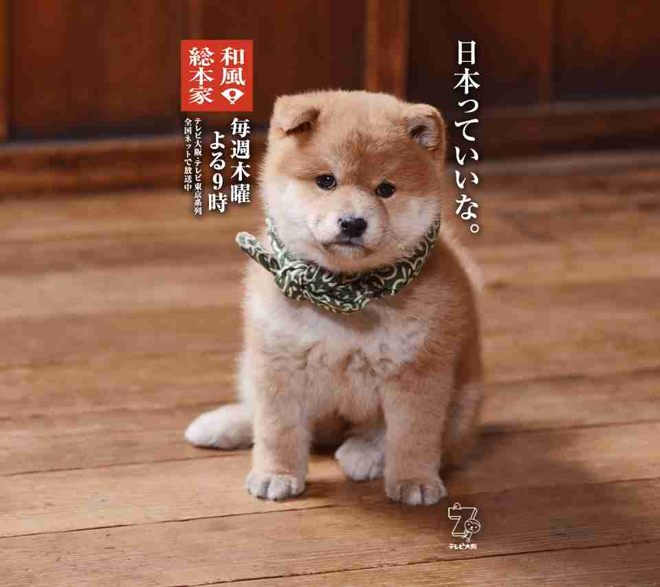 そっくりさんでGLAYを完成させよう
