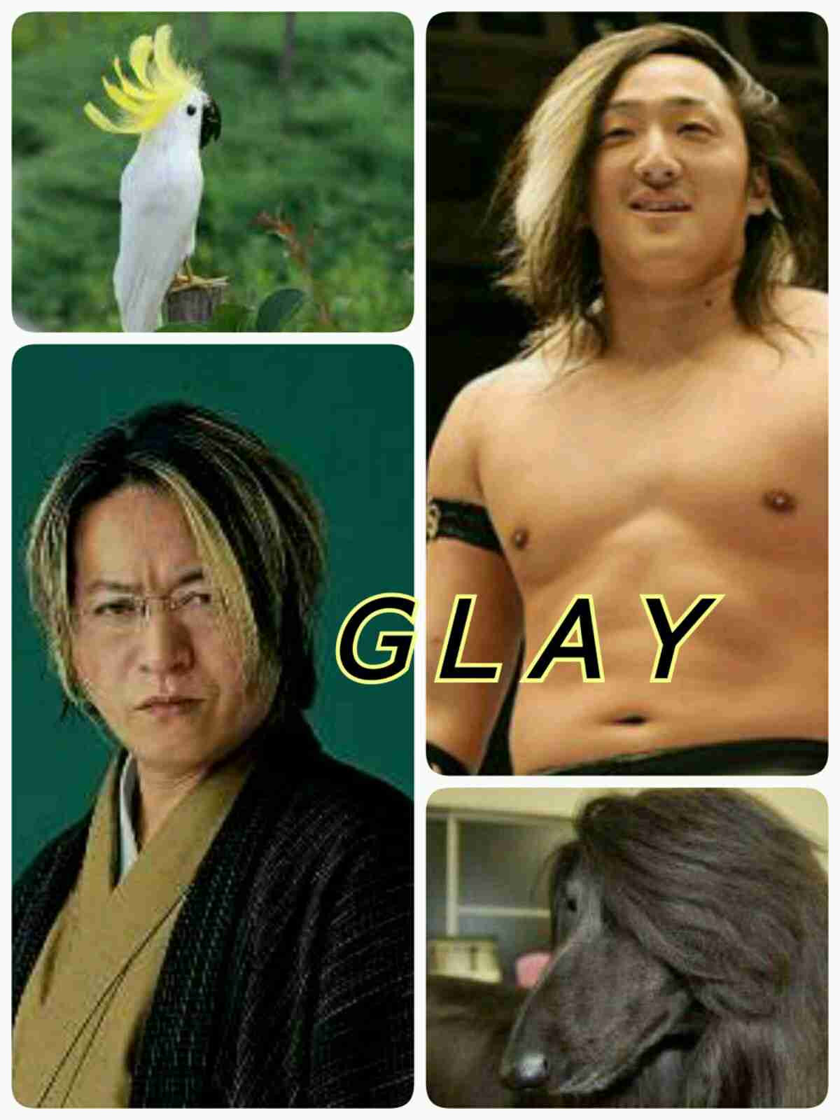 そっくりさんでGLAYを完成させよう