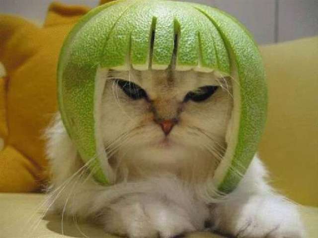 そっくりさんでGLAYを完成させよう