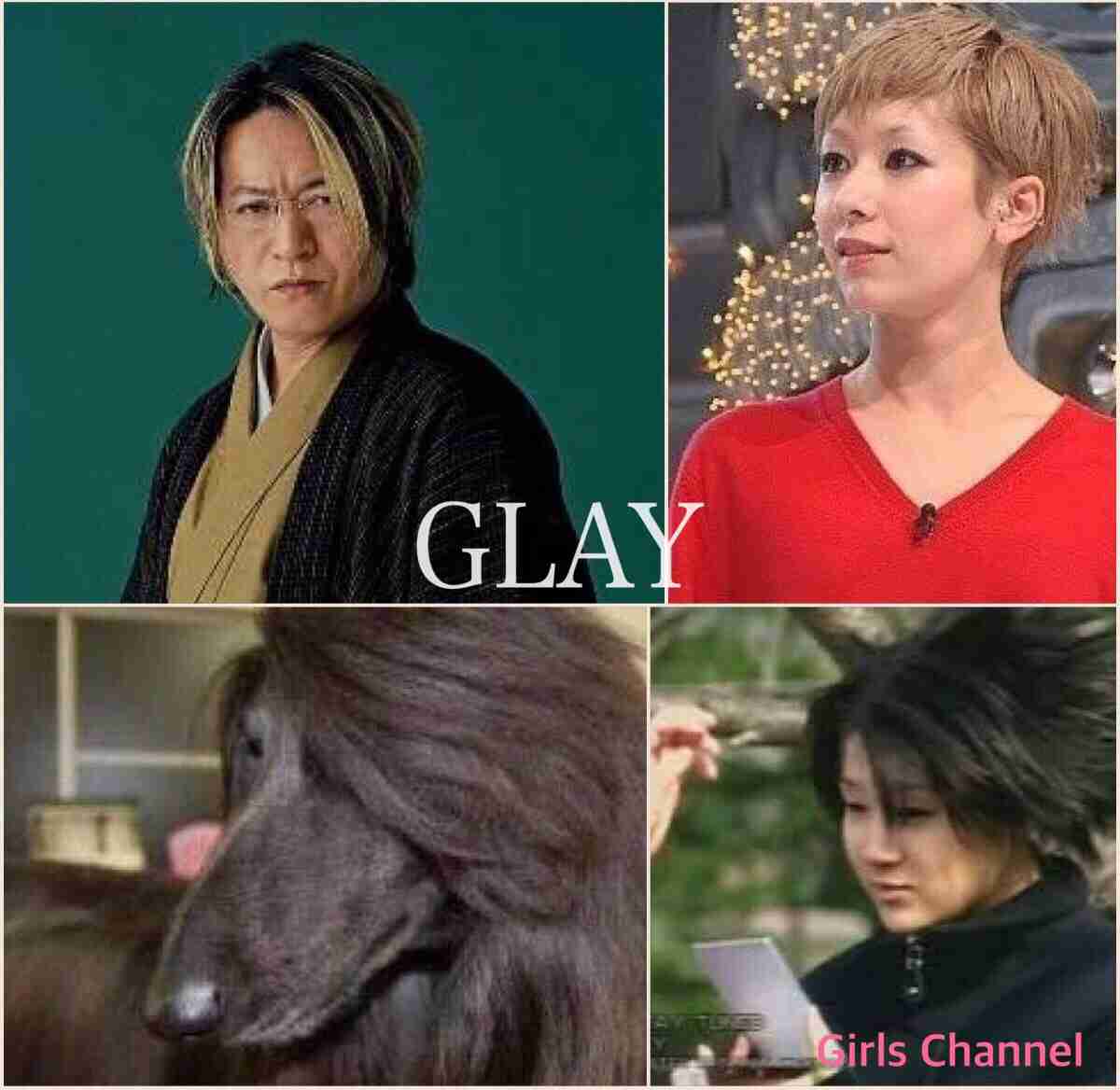 そっくりさんでGLAYを完成させよう