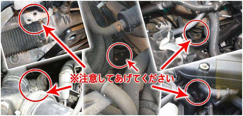 【炎上】ホンダの新車を買ったらワッフルが入っていた。店長は「動物が入れたんです」と認めない