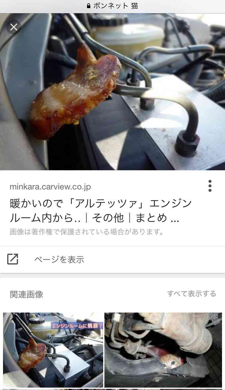 【炎上】ホンダの新車を買ったらワッフルが入っていた。店長は「動物が入れたんです」と認めない