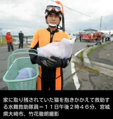 人間っていいな、と思える画像やエピソード