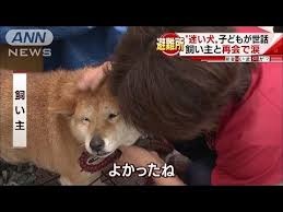 人間っていいな、と思える画像やエピソード