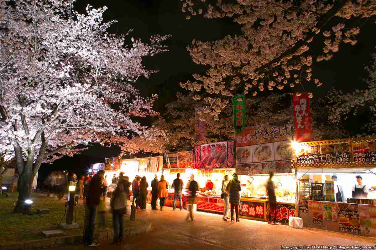 【2016】ガルちゃんお花見会場【桜咲く】