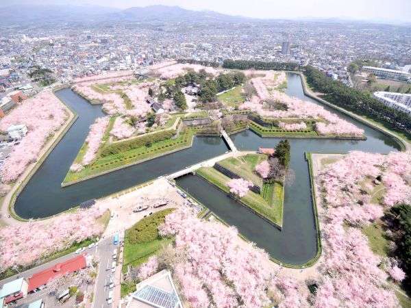 【2016】ガルちゃんお花見会場【桜咲く】