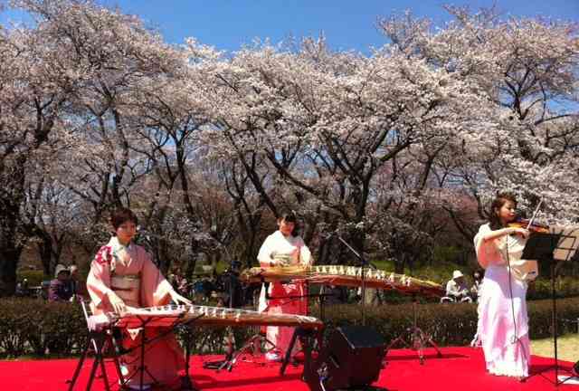 【2016】ガルちゃんお花見会場【桜咲く】