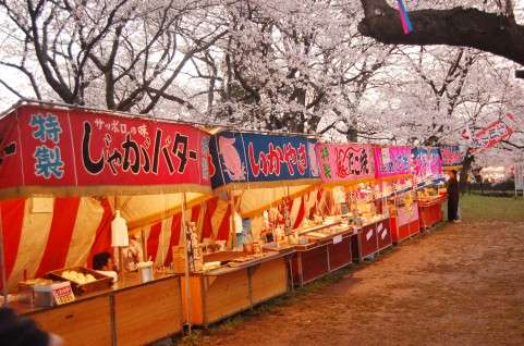 【2016】ガルちゃんお花見会場【桜咲く】