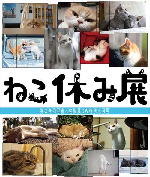 ガルちゃん猫カフェ☆３号店オープンしました♪ 