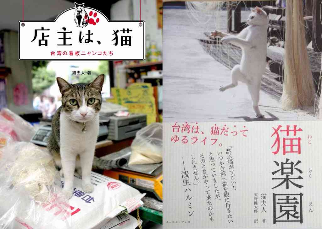 ガルちゃん猫カフェ☆３号店オープンしました♪ 