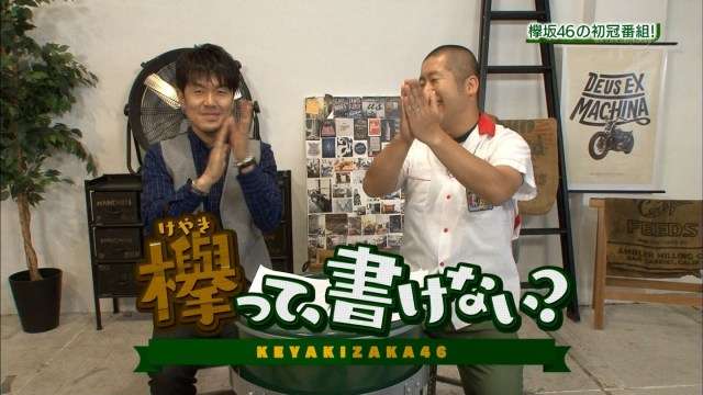 謎の「にゃんにゃん仮面」立候補受理 『第8回AKB総選挙』台風の目? 小嶋陽菜では?の声